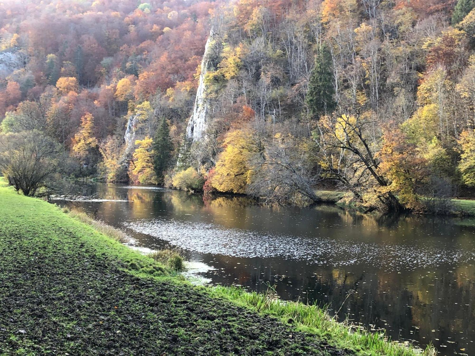 Ferienwohnung Jardin de lavande Fridingen an der Donau Exterior foto